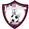 Ironbound Soccer Club crest