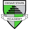 Cedar Stars Academy Hudson Valley crest