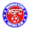 Michigan Stars Elite crest