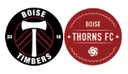 Boise Timbers ECNL B2013/14 crest