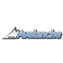 Avalanche ECNL B2013/14 crest