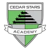 Cedar Stars Academy Newark crest