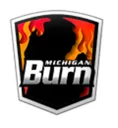 Michigan Burn ECNL RL B2012/13 crest
